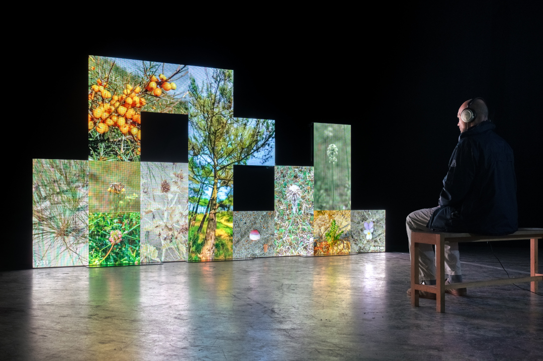 Ecologies of Memories