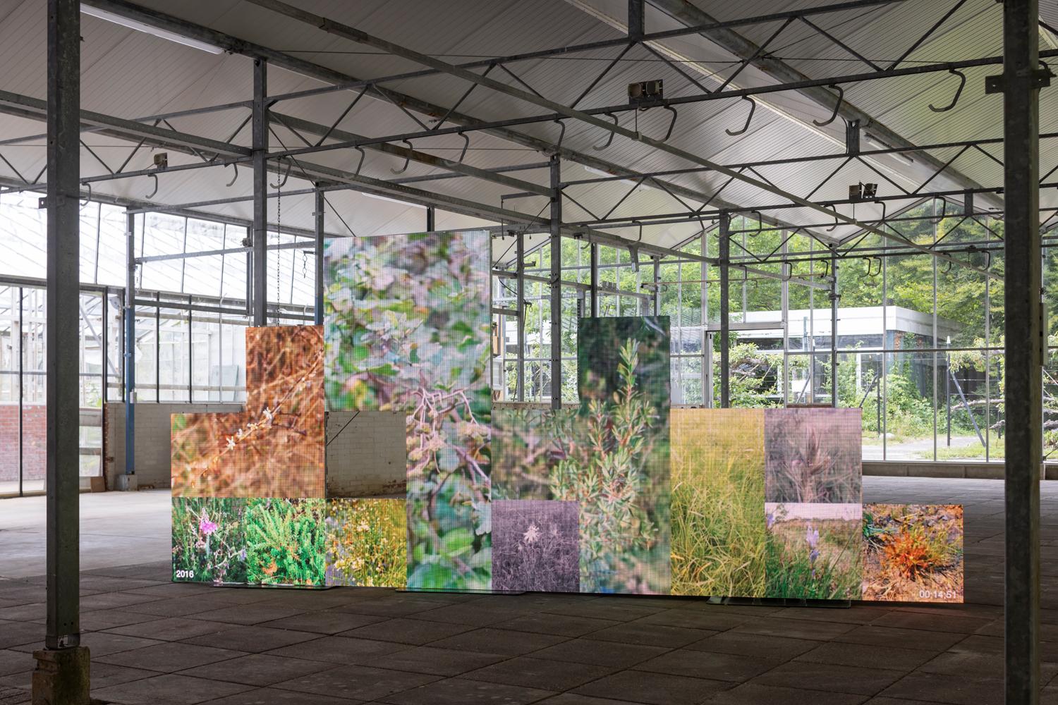 Ecologies of Memories